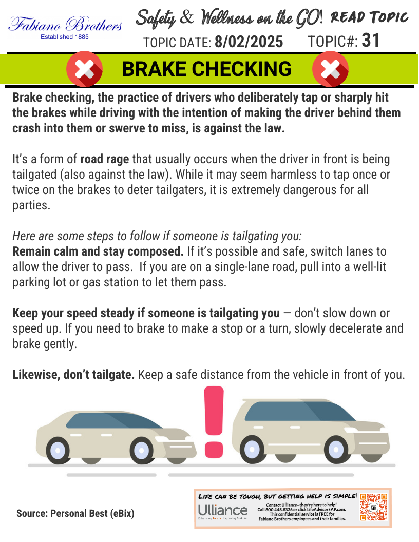 31 - Brake Checking (080225).png